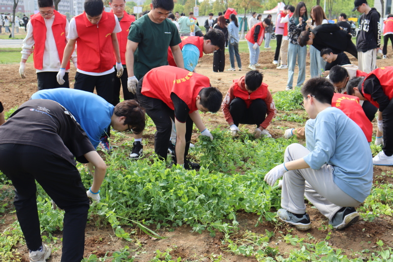 1713338149954454.jpg 1713338149954454.jpg