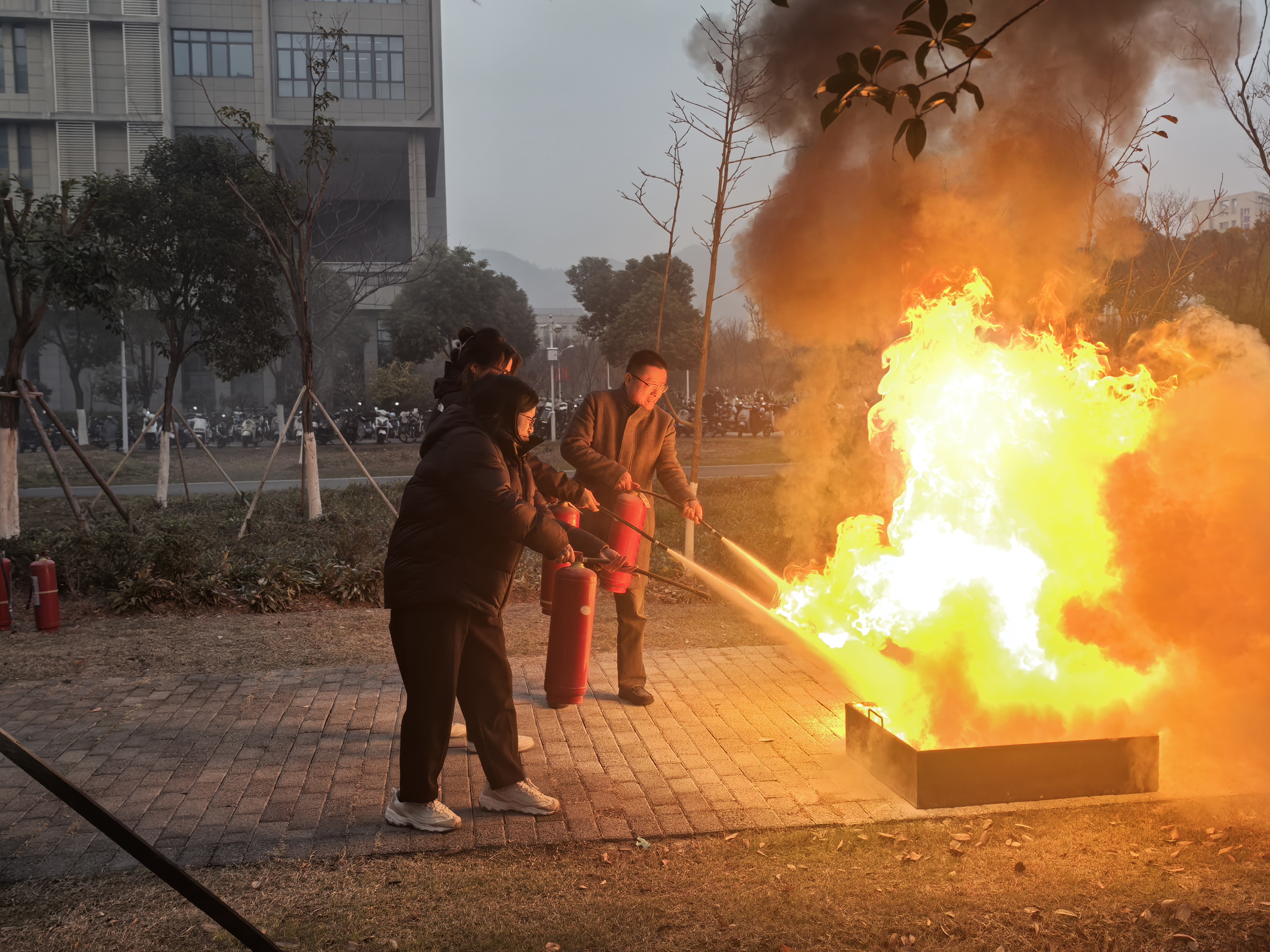 1733561401731253.jpg 1733561401731253.jpg